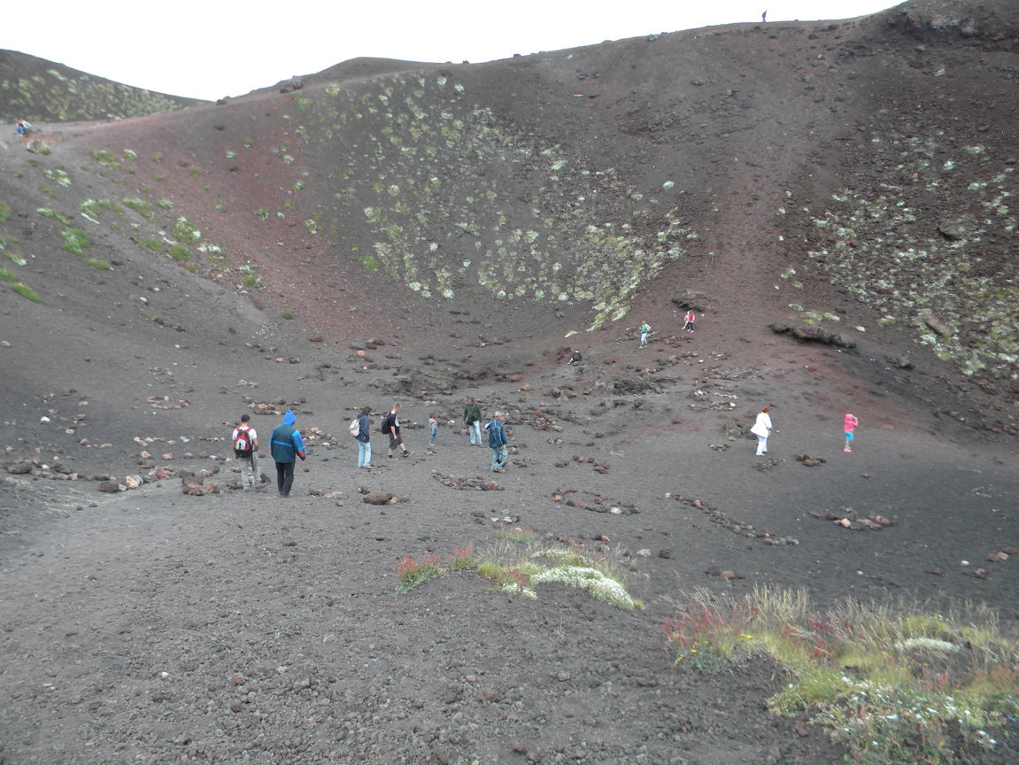 DSCN9537 .JPG